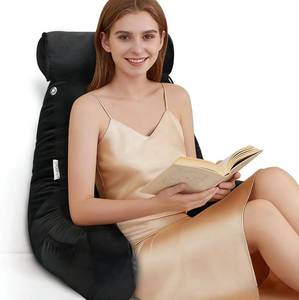 lot 6858 image: $55 Reading Pillow with Neck Support, Armrests & Pocket, Memory Foam