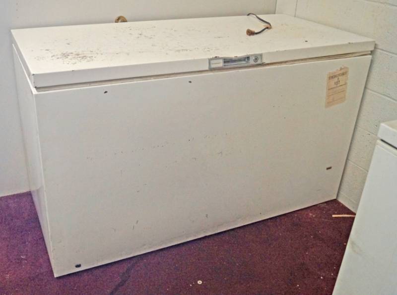 lot 1078 image: Chest Freezer