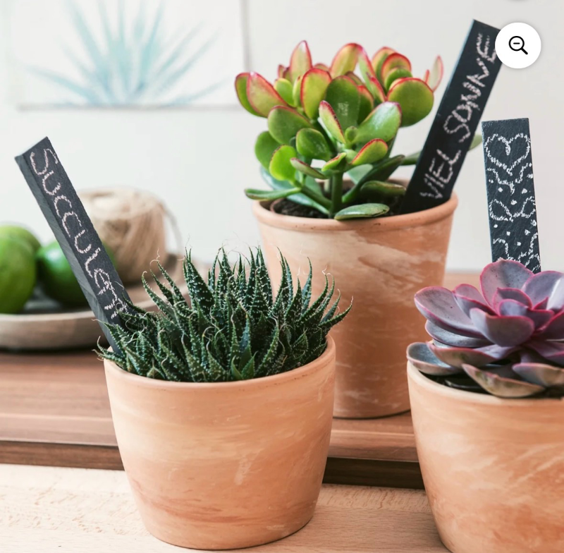 lot 4651150 image: Navaris Slate Plant Labels (10 Pieces) - Set of 10 Natural Slate Garden Markers for Herbs, Pots and Garden - Reusable Slate Tags with Chalk - Size S - Retail $31