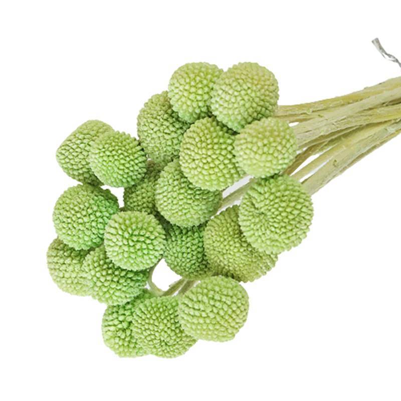 lot 2026 image: 20Pcs Natural Dried Flowers Green Billy Balls Flowers 16 Dried Flower Bouquet Flowers Arrangements Bouquet Green Retail $23.74