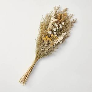 lot 1156 image: 25 Preserved Spring Grass and Flower Stems Bundle - Hearth & Hand with Magnolia - Retail $15