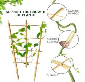 lot 26 image: Bamboo Trellis 4FT, S3 Natural Bamboo Plant Fan Stakes 48 Inch 10 Pack, Fan-Shaped Plant Support Stand for Orchid Vines, Monarchs, Ivy and Other Plants Climbing, Help Plant Growth