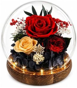 lot 37558 image: Birthday Gifts for Women Preserved Red Real Rose Flowers in Glass Dome, Forever Rose Graduation Gift for Her Mom on Christmas Birthday Flowers for Delivery Prime - Retail $31