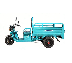 Onshine OSECT-13 800W Electric Cargo Tricycle with Tiltable Deck