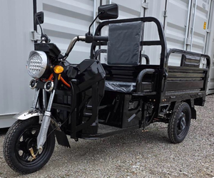 lot 326 image: Electric Three Wheel Cargo Tricycle with Flatbed black