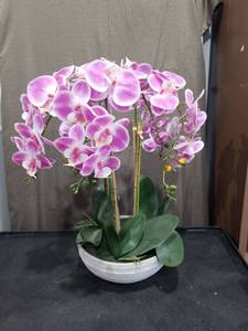 lot 3925 image: Allen  Roth Artificial Orchid in Decorative Pot