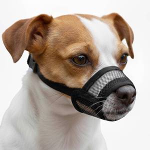 lot 3861 image: OHNSO Dog Muzzle for Small Dogs - Soft Air Mesh Small Dog Muzzle  Perfect for Barking and Biting Prevention  Puppy Mussels for Grooming Allows Panting & Drinking Small