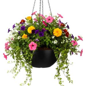 lot 5083 image: Teecyhooo 10 Inch Black Hanging Planters for Indoor Outdoor Plants Recycled Based Composite Hanging Vine Flower Pot Basket with Drainage Holes and Chain for Garden Porch Window Home Decor