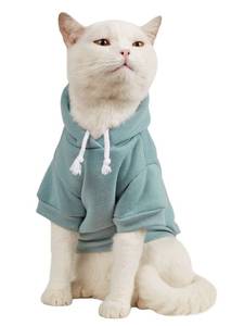 lot 6193 image: QWINEE Basic Dog Hoodie Sweatshirt Puppy Sweater Warm Cat Costumes Pet Clothes for Chihuahua Puppy Kitten Small Medium Dogs Cadet Blue Small
