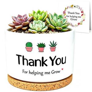 lot 6233 image: Teacher Appreciation Gift, Teacher Week Present from Student, Plant Pot for Succulent, Thank You for Helping Me Grow, Retirement Thank You Gift for Teacher, Small Flower Planter for Indoor Outdoor