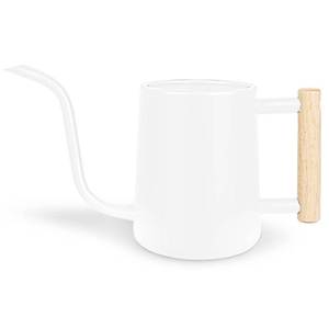 lot 6322 image: Watering Can Indoor Plants, 35 oz1000 ml Metal Stainless Steel Watering Can Pot with Long Spout for Indoor House Plants Bonsai Outdoor Garden Flower Decorative (White)