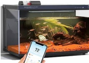 lot 15448 image: Wonderfactory Smart Aquarium 5 Gallon Glass Fish Tank