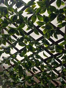lot 121 image: Naturae Decor Expandable PVC Trellis with Artificial Gardenia Leaves