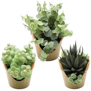 lot 23811 image: SENCID 3 Pack Artificial Succulent Plants, Small Potted Fake Plants, Artificial Eucalyptus Leaf Aloe Vera Plants, for Home Decor, Farmhouse Bathroom Office Decor - Retail $10