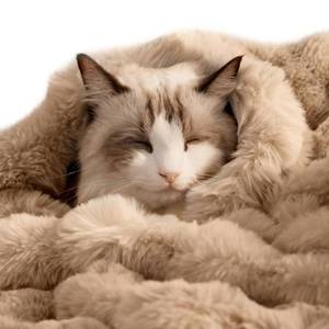 lot 23816 image: SOMAHE Pet Blanket, Reversible Sherpa & Bubble Fleece Pet Throw, Ultra-Soft Plush for Cats & Small Dogs, Machine Washable, Anti-Static, Warm & Cozy,28x22 Inch Coffee - Retail $25