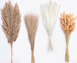 lot 31344 image: 100 Stems Dried Pampas Grass, Boho Table Decor Natural Reed Phragmites Grass, Fluffy Large Pampas Grass, Bunny Tails Flowers Bouquet for Wedding Floral Arrangements Farmhouse Home, Wall Rustic Party - Retail $10