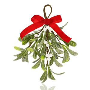 lot 26759 image: Mistletoe Christmas Decor, Artificial Fake Hanging Mistletoe Picks with Velvet Bow Berries,Like Real Christmas Kissing Ball Ornaments for Kitchen Doorway Tree Decorations (White) (1)