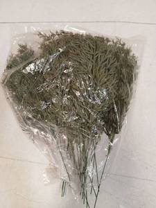 lot 31225 image: Greenery Twigs