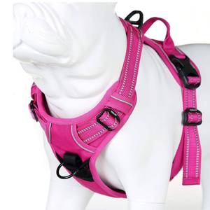 lot 6210 image: JUXZH Truelove No Pull Dog Harness with Easy Control Handle and 2 Leash Attachments,Reflective Adjustable Pet Vest size M