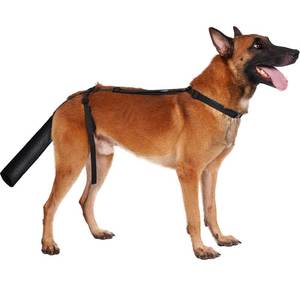 lot 14145 image: BARKLESS Dog Tail Protector, Dog Tail Guard for Medium Large Dogs, Adjustable Cover to Prevents Licking Wounds, Breathable Tail End Bag for Recovery (Black, L)