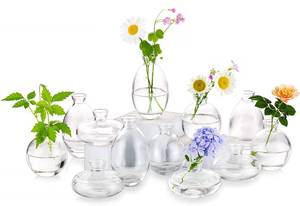 lot 19388 image: Glass Bud Vases Set of 12, Hewory Cute Clear Small Vases Handmade, Mini Glass Flower Vase for Floral Arrangement, Tiny Centerpiece for Wedding Party Events Home Office Table Decor (Not Include Flower)