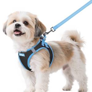 lot 2379 image: rabbitgoo Dog Harness Small Sized and Leash Set, Step-in Breathable Pet Harness, Soft Walking Reflective Puppy Vest for Small Dogs, Black and Light Blue, S