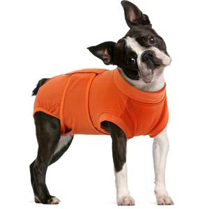 lot 2397 image: FUAMEY Dog Recovery Suit Male,Dogs Surgery Neuter Suits Puppy Spay Shirts for Female Protect Dogfts Skin Anti Licking Abdominal Wounds Doggie Onesie Pet Bodysuit Alternative to Cone Orange M
