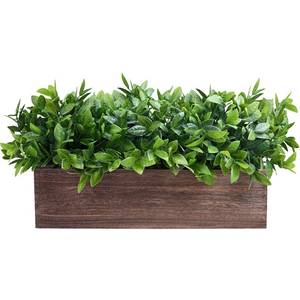 lot 3852 image: Winlyn 14in Artificial Boxwood Plants in Rectangular Wood Planter Farmhouse Greenery Arrangement Centerpiece Faux Potted Herb Plant for Wedding Dining Room Table Kitchen Windowsill Mantel Shelf Dcor