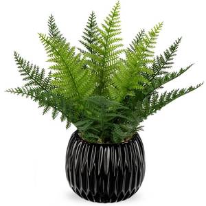 lot 3860 image: DILATATA Faux Plant Indoor in Ceramic Pot 11in Artificial Potted Fern Fake House Plants for Desk Office Bathroom Garden Decoration - Black