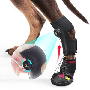lot 4138 image: Drop Foot Brace with Reel(No Knuckling Boot Brace) for Dog - Corrective Dog Shoes to Safely Lift Toes for Foot Issues, Arthritis, and improving Walking gait in Dogs,Patent Pending(M)
