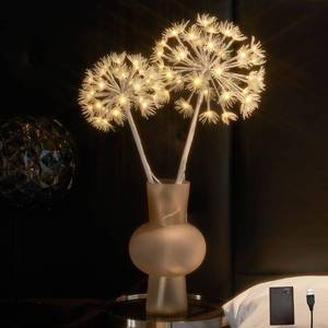 lot 5296 image: Hairui Lighted Willow Branches with Timer 70 Warm White LED Lights, Artificial Dandelion Branches with Lights 27IN Battery Operated and USB Plug in for Room Fireplace Table Christmas Decor