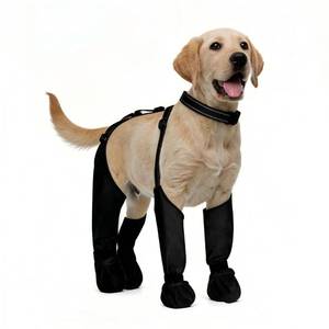 lot 12384 image: All-in-One Dog Suspender Boots for Small, Medium and Large Dogs � Waterproof Paw Protectors with Non-Slip Sole and Reflective Straps, Ideal for Rain, Snow, and Hiking (Black, M)