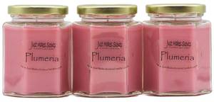 lot 14293 image: 3 Pack - Plumeria Scented Blended Soy Candle  Long Lasting Tropical Floral Fragrance  Hand Poured in The USA by Just Makes Scents