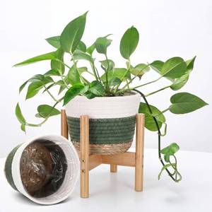 lot 19405 image: Remerry Plant Basket with Stand, Cotton Rope and Wicker Plants Baskets Indoor with Plastic Liner and Stand, Green White Woven Flower Pot for Indoor Home Living Room Floor Potted Decor(12inch)