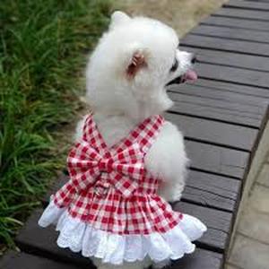 lot 10115 image: Plaid Pet Dress - Cute Dog and Cat Checkered Outfit
