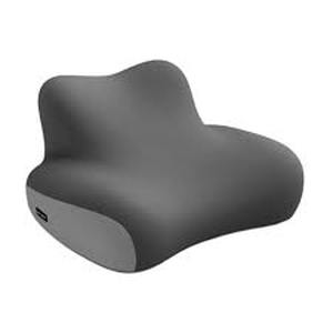 lot 19489 image: Gray Seat Cushion with Backrest