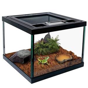 lot 1810 image: Mini Reptile Glass Terrarium Tank 8  8  6 Full View, Amphibians Box Habitat Enclosure Cage for Frog,Spiders,Dubia Cockroach,Praying Mantis,Cricket,Tarantula,Hermit Crab