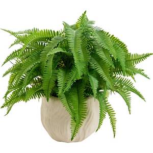 lot 9781 image: Arbolanta 9 Faux Boston Fern Potted �� Small Artificial Plant in White Boho Embossed Planter for Tabletop, Home, Office, Bathroom, Indoor & Sheltered Outdoor Decor