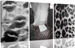 lot 10257 image: 3 Pcs Black and White Cheetah Poster Wall Art,Trendy Kiss Lips Decor Print Artwork,Leopard Wall Decor,Fashion Woman Canvas Painting Picture,for Women Room Bedroom Bathroom Living Room Home Decoration