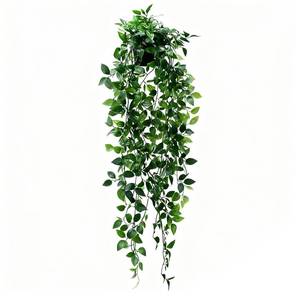 lot 12129 image: Zinmilin Fake Plants Wall Decorations Half Bath Decor,Bathroom Signs Decor Home Wall Decor Boho,Decorate Your House with Fake Mandrake Plants.