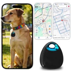 lot 14409 image: GPS Tracker for Dogs & Cats �� Waterproof, Lightweight, Mini Real-Time Pet Locator with 1-Year Battery, No Subscription or SIM Required, Track History, iOS & Android Compatible Now 2026
