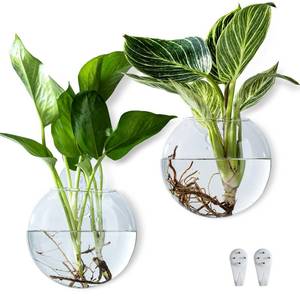 lot 14439 image: CHPINDAM Wall Hanging Planter Propagation Station, Oblate Glass Flower Vase for Propagation, Wall Planter for Indoor Plants, Modern Home Office Corridor Bathroom Decor (2)