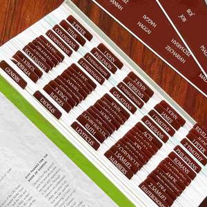 lot 4038 image: Thinkor Reposition Laminated Bible Tabs, Large Print Stickers, Easy to Read and Apply Bible Tabs for Women and Man (Leather Color)
