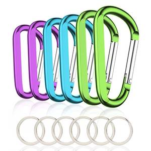 lot 4419 image: 6PCS Carabiner Caribeaner Clip,3 Inch Large Aluminum D Ring Shape Carabeaner with 6PCS Keyring Keychain Hook