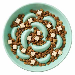 lot 11140 image: Ceramic Cat Slow Feeder Bowl - 6.3 Wide Opening Whisker Friendly Cat Plate for Dry and Wet Food - Cute Maze Feeder Dish Helps Reduce Vomiting - Microwave and Dishwasher Safe - Green