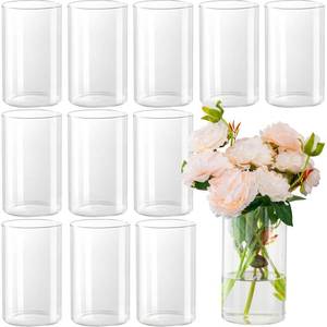 lot 19629 image: DYMFADFB 12pcs Glass Cylinder Vases for Centerpieces - 6 Inch Tall Flower Vase for Wedding Decorations, Clear Glass Flower Vases Floating Candle Holder for Table Centerpiece Wedding Home Dcor