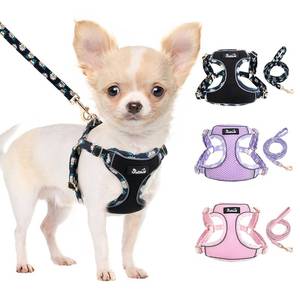 lot 20063 image: SlowTon Small Dog Harness - No Pull Dog Harness and Leash Set, Soft Mesh Lightweight Puppy Vest Harnesses, Adjustable Pet Harnesses for XXS XS Small Medium Easy Walk Hiking (Black, S)