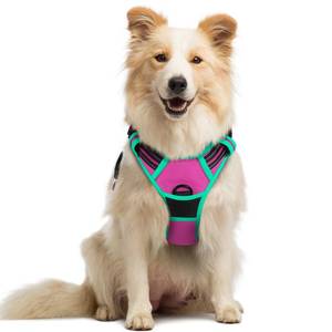 lot 2147 image: rabbitgoo Dog Harness No Pull with 2 Leash Clips, Adjustable Soft Padded, Reflective Oxford No Choke Pet Vest with Easy Control Handle for Large Dogs, Hot Pink & Turquoise, M