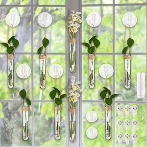 lot 4104 image: Baderke 9 Pack Clear Window Propagation Stations Plastic Window Planter with Suction Cups & Traceless Nails, Propagated Plant Holders with Bottle Brush, Hanging Vases Terrarium Gift(5)