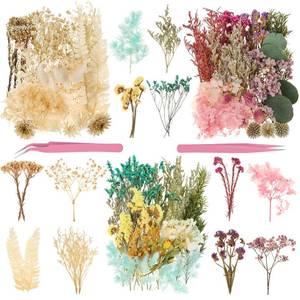 lot 4164 image: Real Dried Flowers 100% Natural Dried Flowers, Mixed Colors Dried Leaf Flowers for DIY Arts and Crafts Candles Resin Jewelry Nail Pendant Cards Scrapbooking Wedding Home Decoration (Blue)